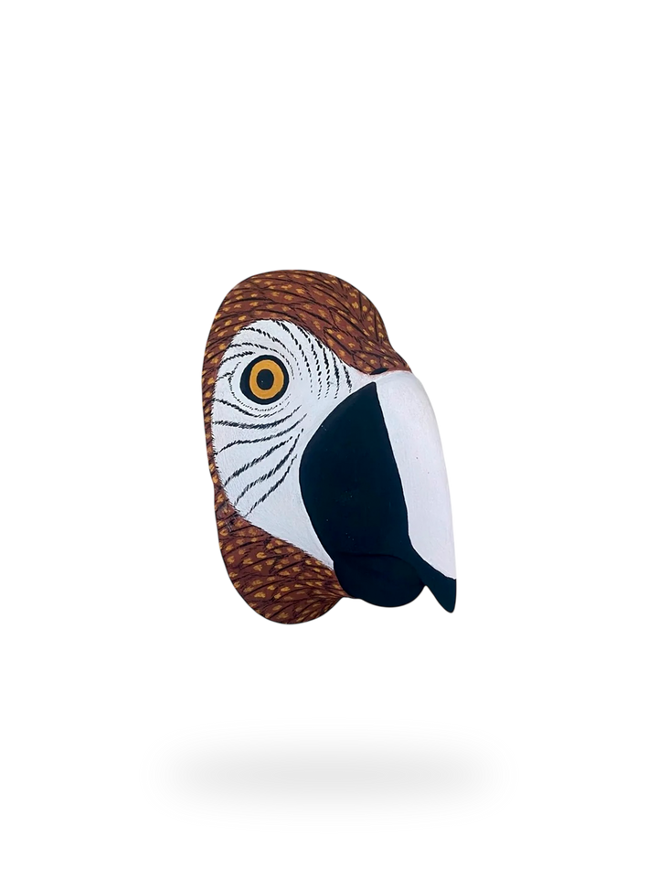 The Red Macaw