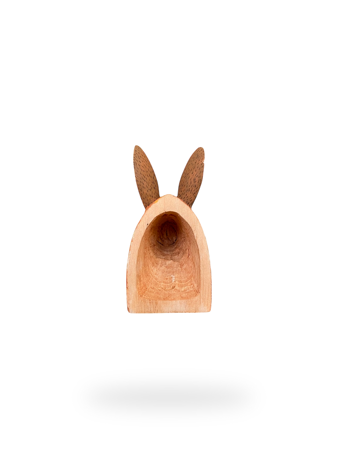 The Resting Rabbit