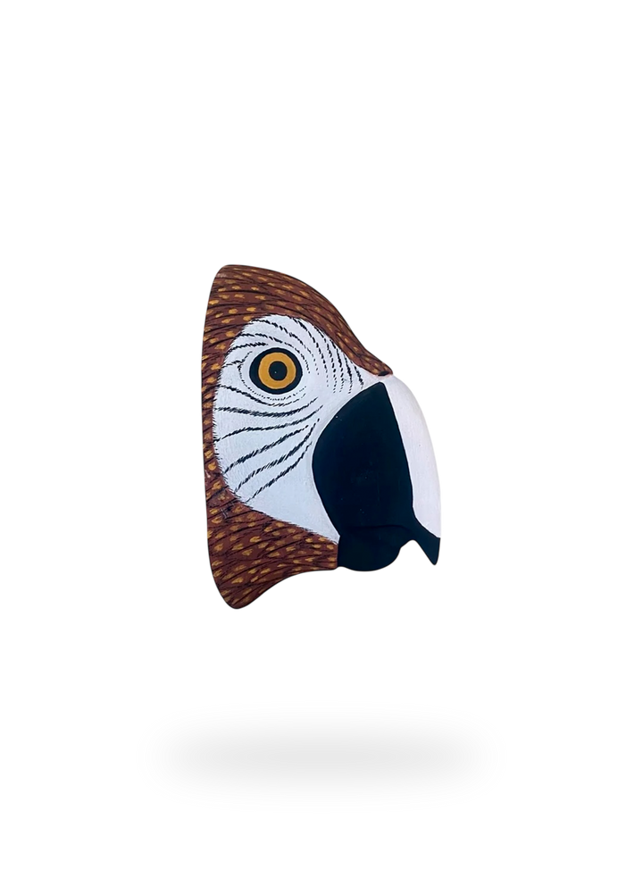The Red Macaw