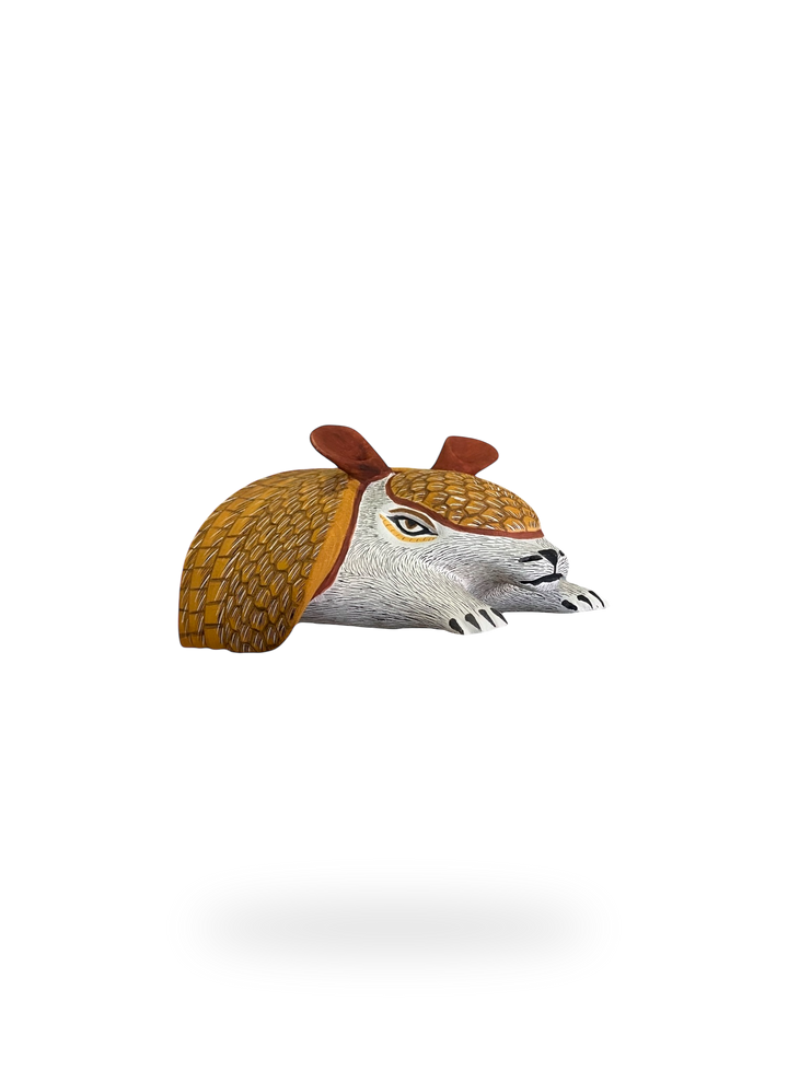 The Armadillo