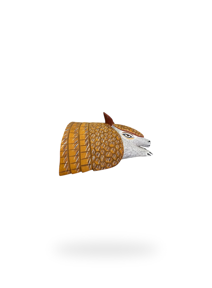 The Armadillo