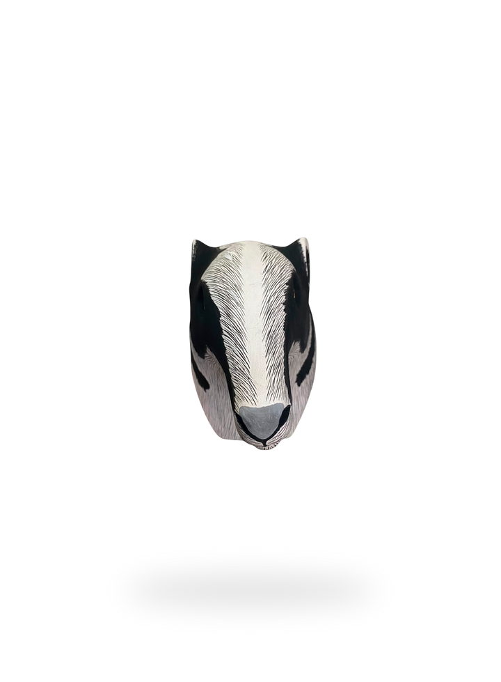 The Anteater