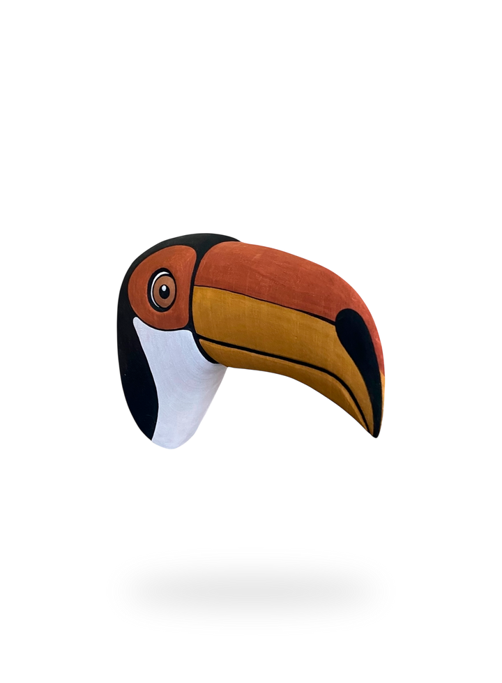 The Toucan