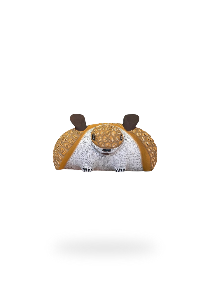 The Armadillo
