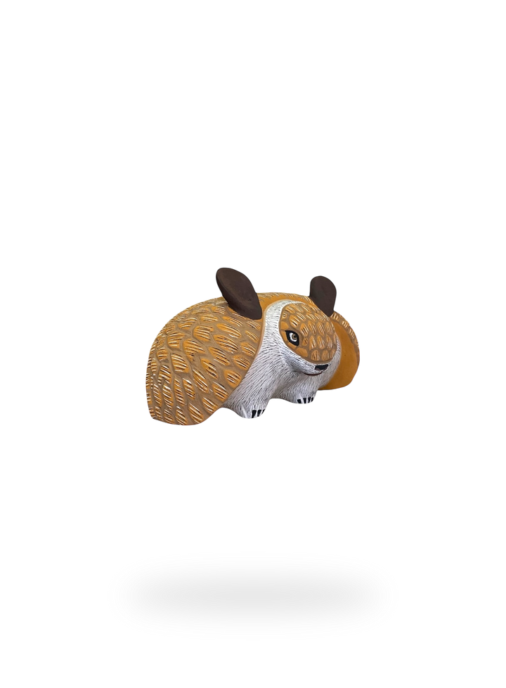 The Armadillo