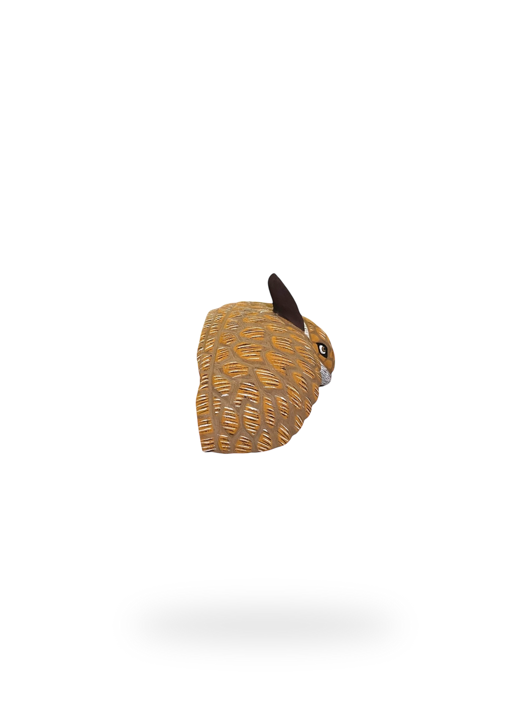 The Armadillo