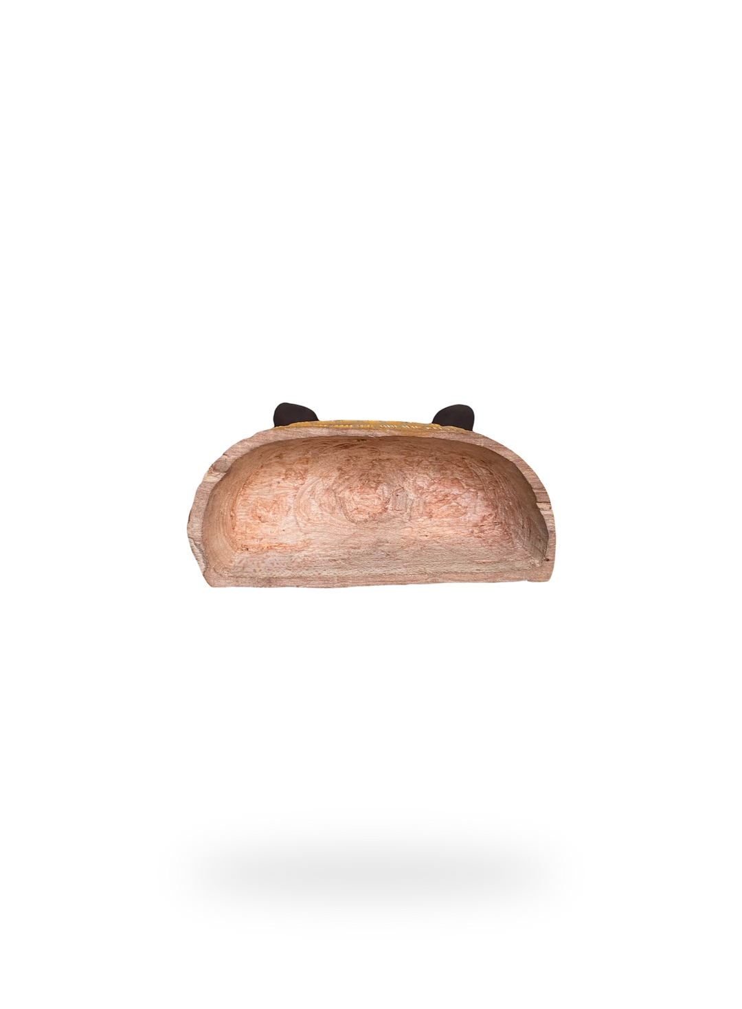 The Armadillo