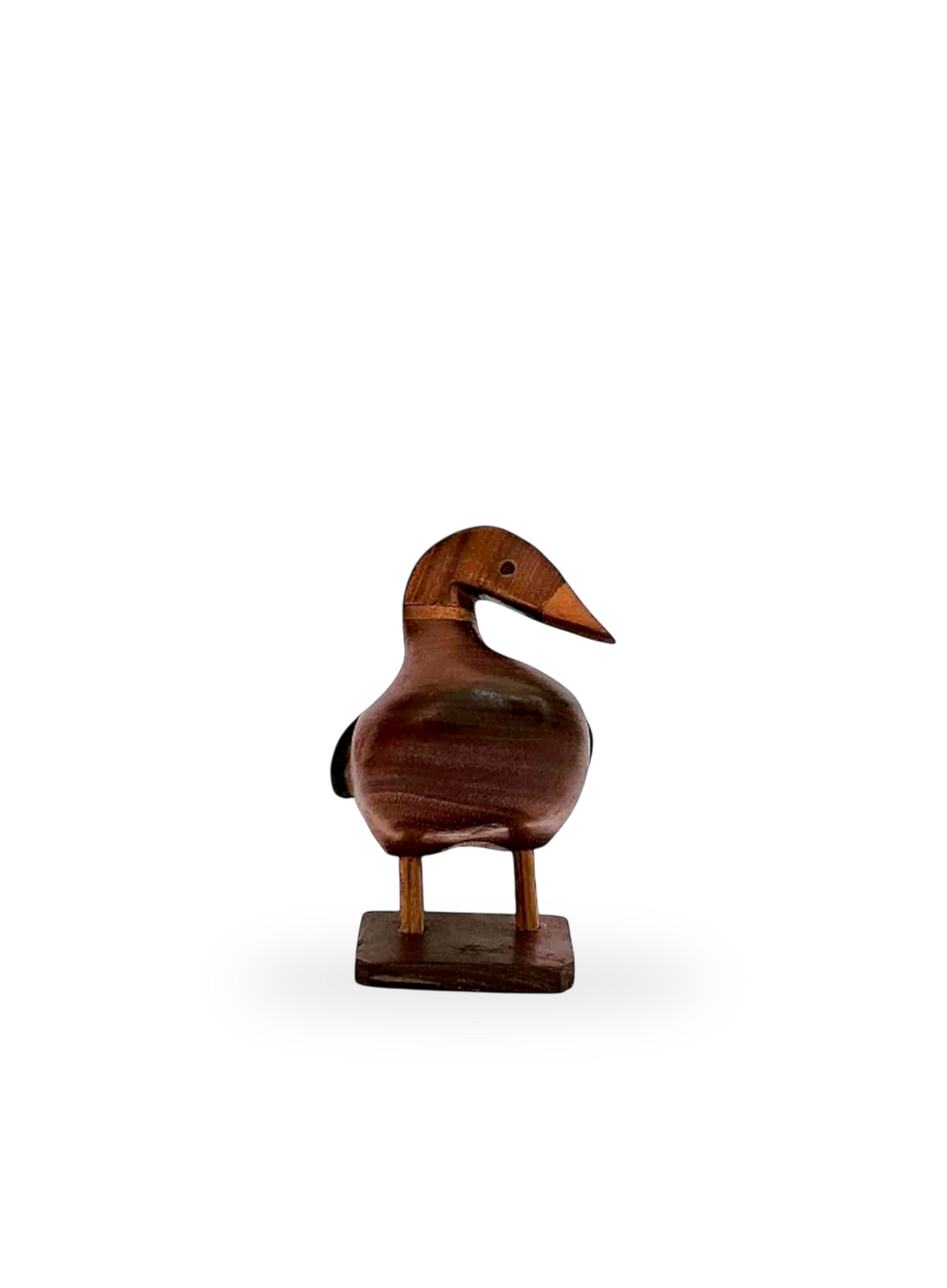 The Duck