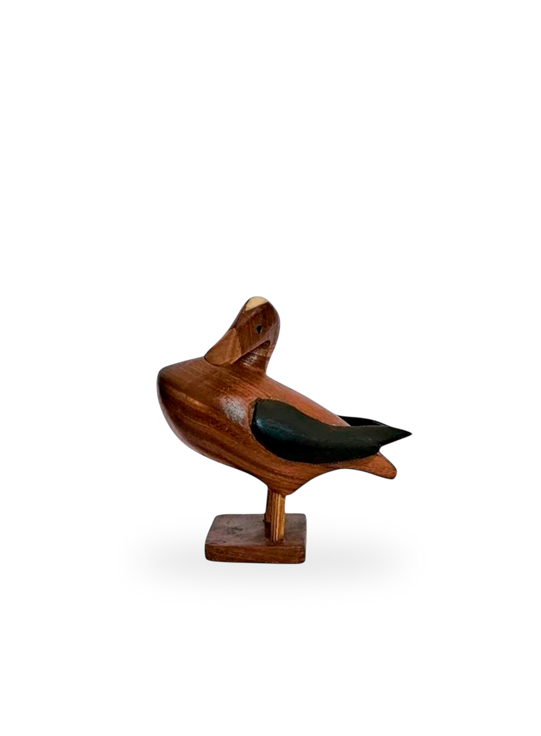 The Duck